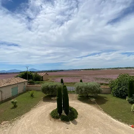 04b1 In The Heart Of Lavender Fields Appartement Brunet